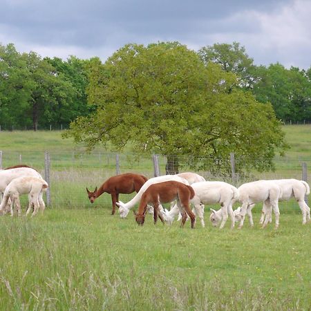 Vila Alpagas Du Quercy Frayssinet Exteriér fotografie
