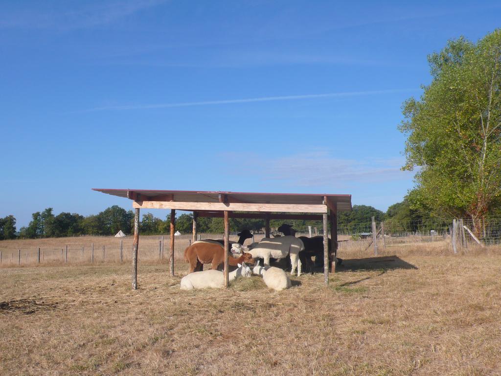 Vila Alpagas Du Quercy Frayssinet Exteriér fotografie